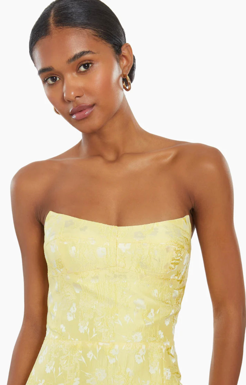 Amanda Uprichard Ivy Dress