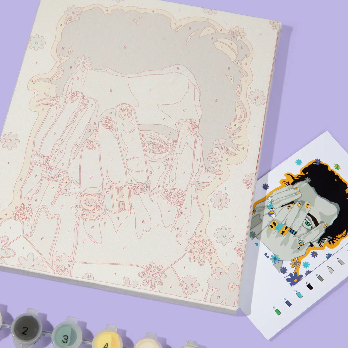 Harry Styles Paint by Numbers