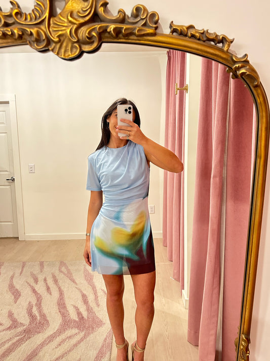 Zinnia Mesh Mini Dress