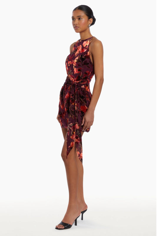 Amanda Uprichard Selah Dress