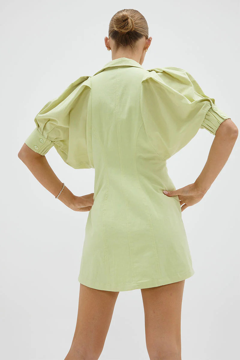 Sovere / Hush Dress