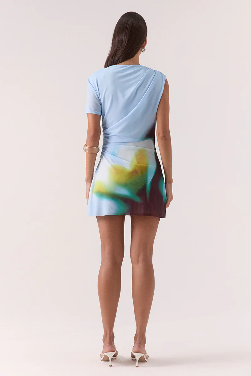 Zinnia Mesh Mini Dress