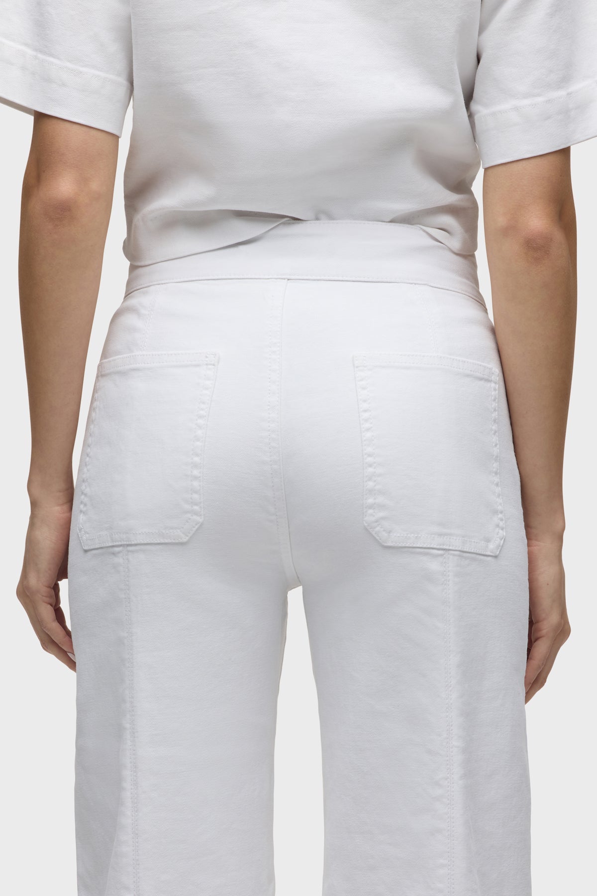 Hudson Tie Waist Pintucked Trouser Pant