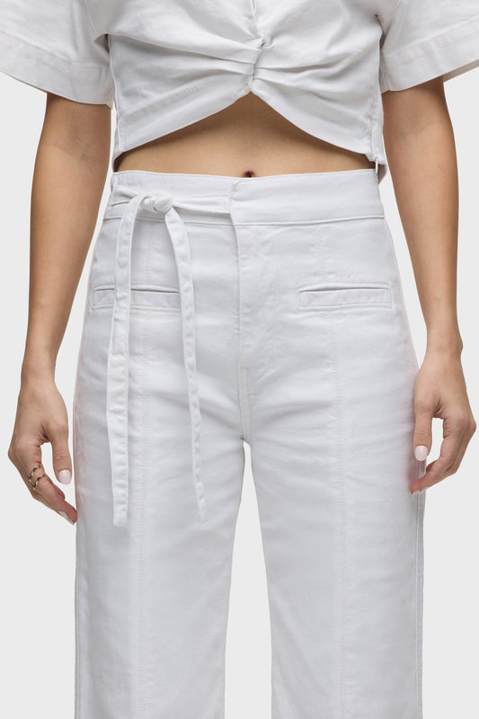 Hudson Tie Waist Pintucked Trouser Pant