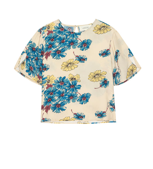 THE GREAT Mandolin Top