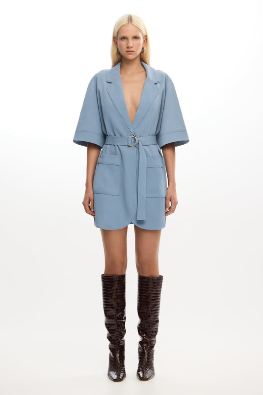 Significant Other BOWIE MINI DRESS