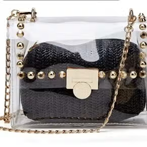 Clear Purse with Gold Detailing