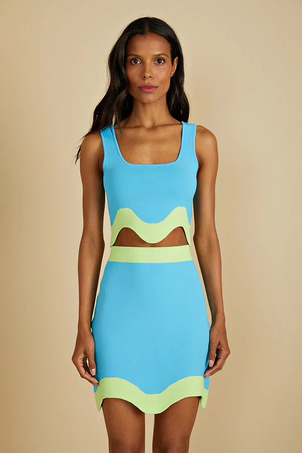 Amur Dean Jacquard Knit Skirt