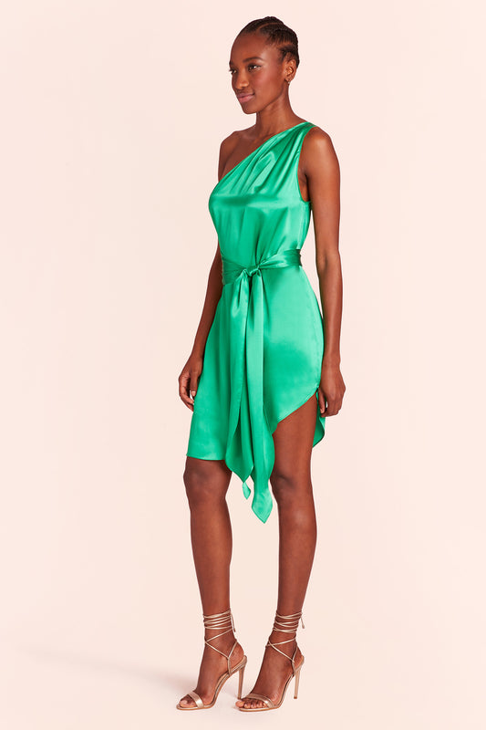 Amanda Uprichard Delmar Dress