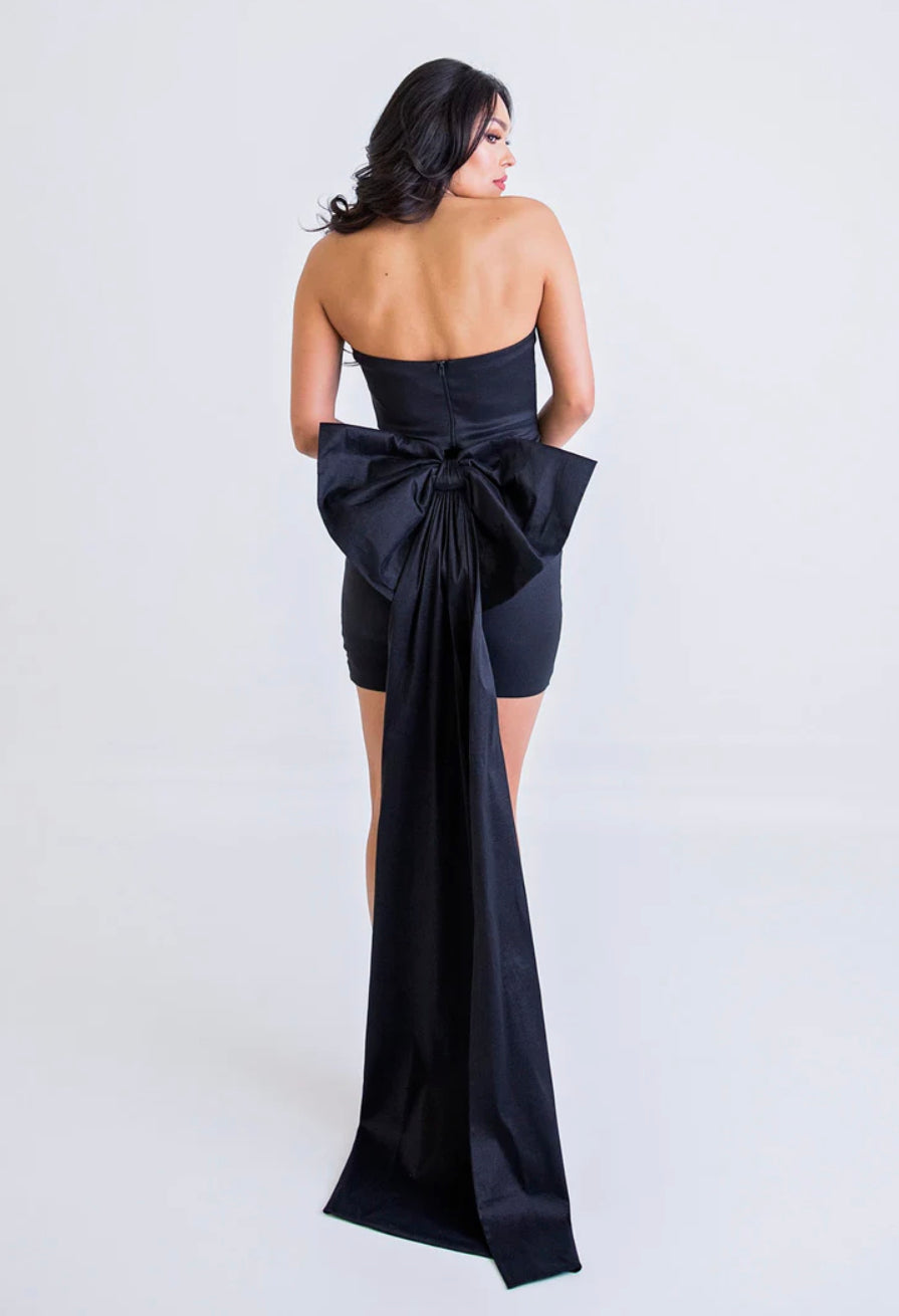 Taffeta Bow Back Bustier Dress