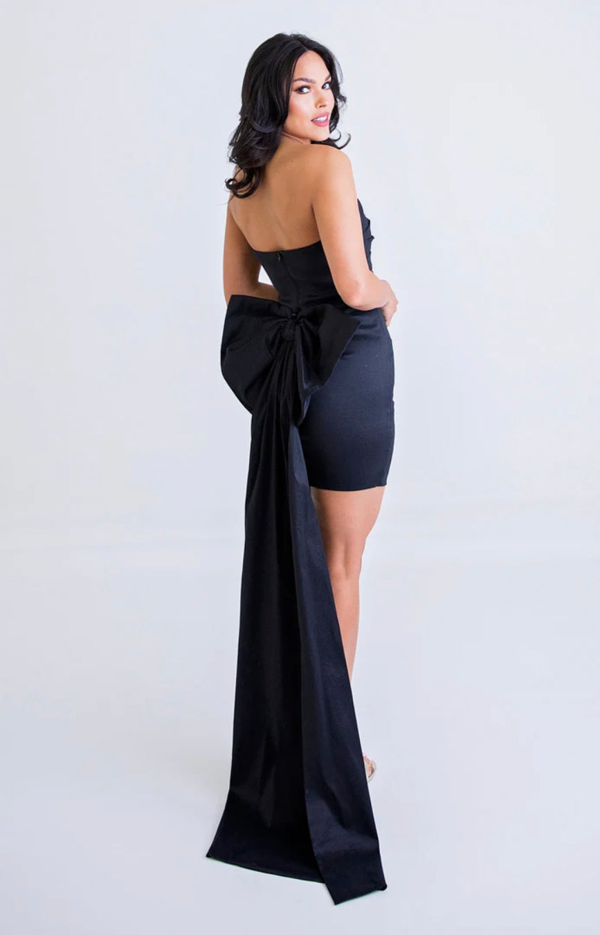 Taffeta Bow Back Bustier Dress