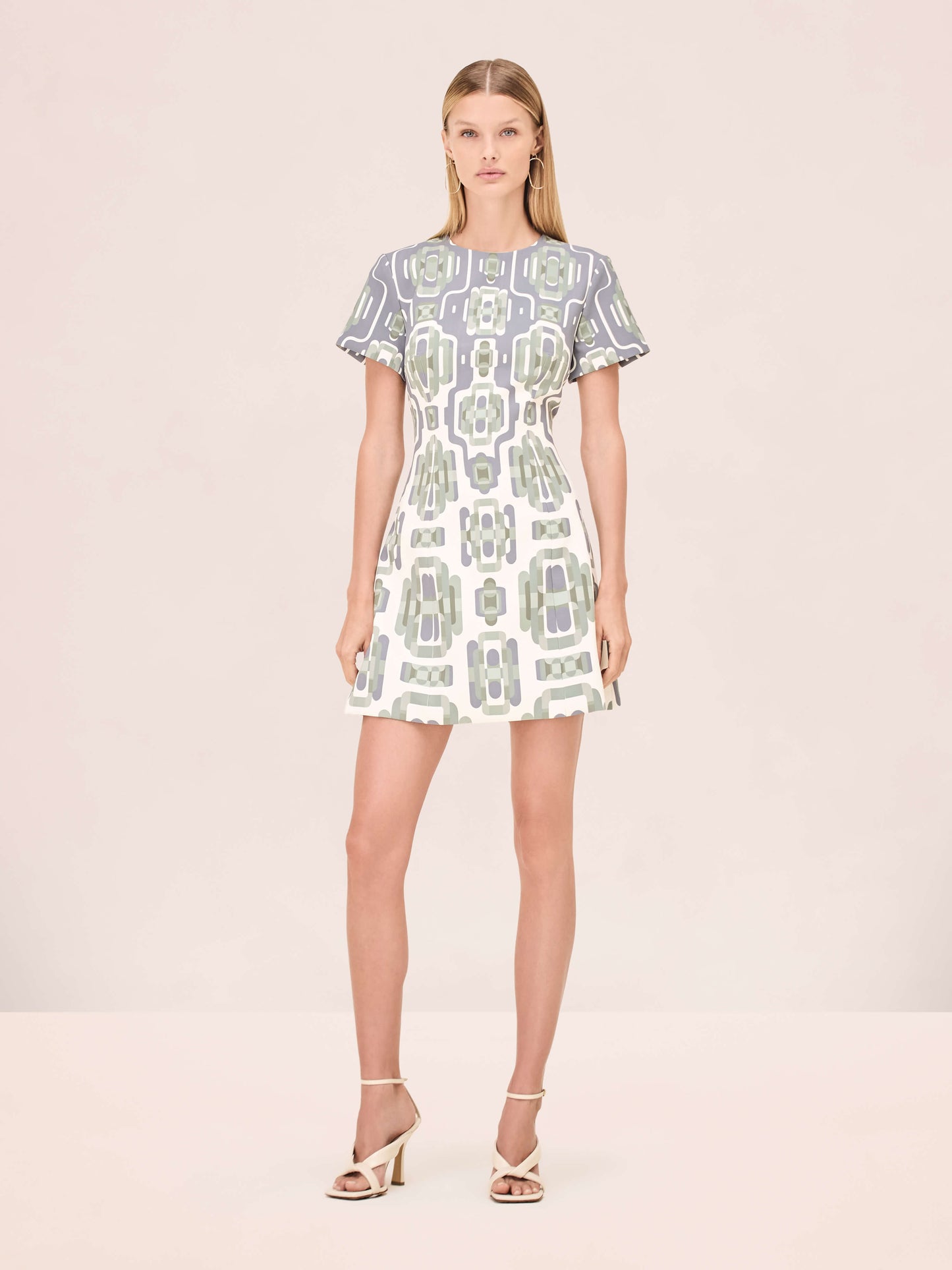 Alexis Silva Dress