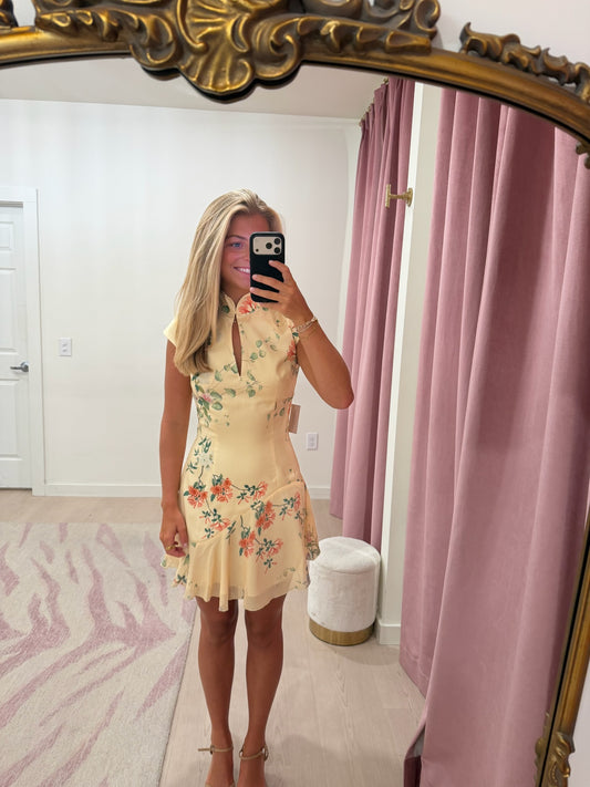 SAU LEE Lili Mini Dress