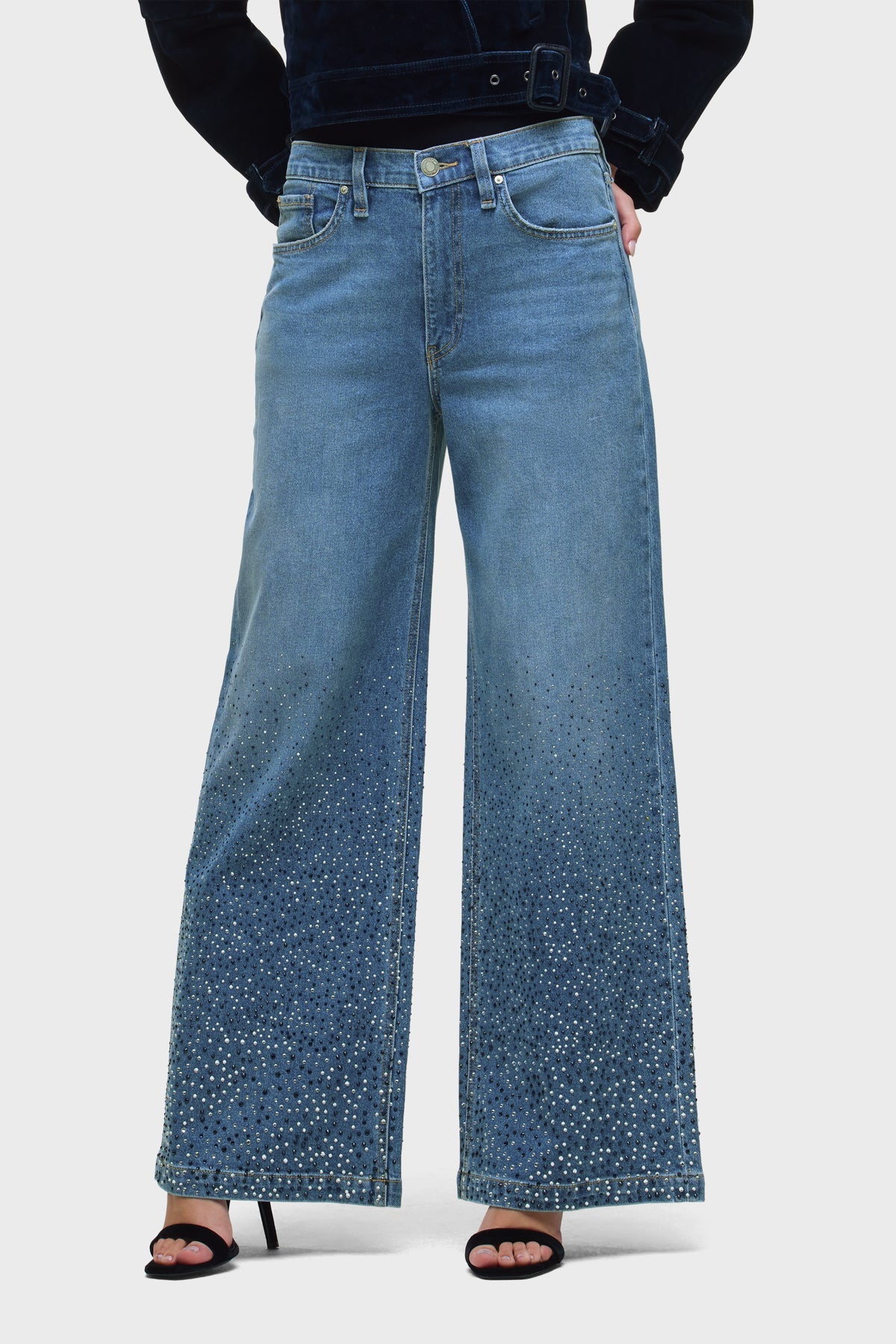 Hudson Jodie High Rise Wide Leg Jeans