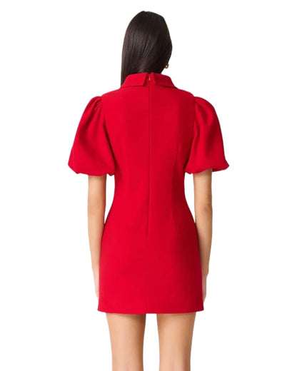 Elliatt June Puff Sleve Mini Dress