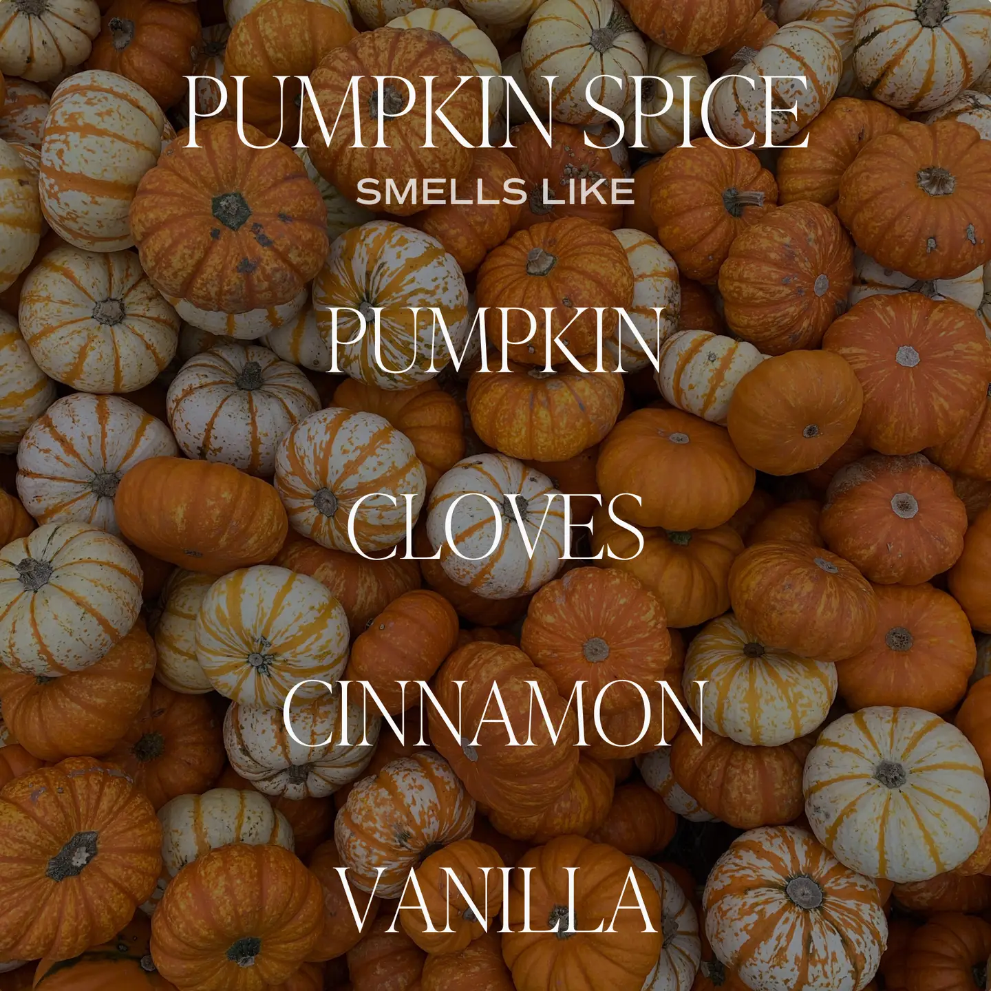 Pumpkin Spice 15 oz Soy Candle, Matte Jar