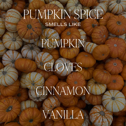 Pumpkin Spice 15 oz Soy Candle, Matte Jar