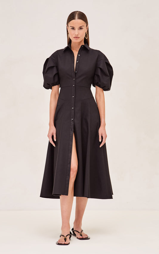 Alexis Amilya Dress
