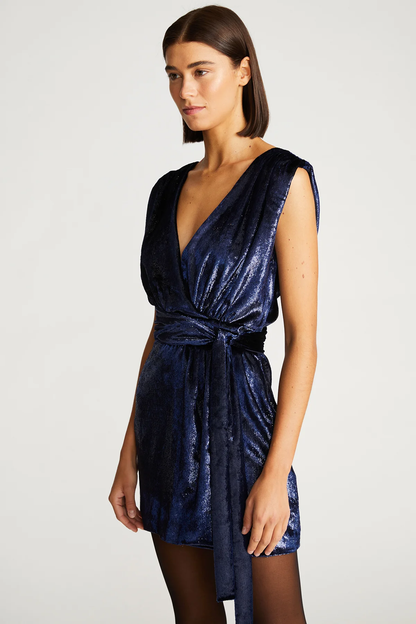 Halston Lennox Dress in Velvet