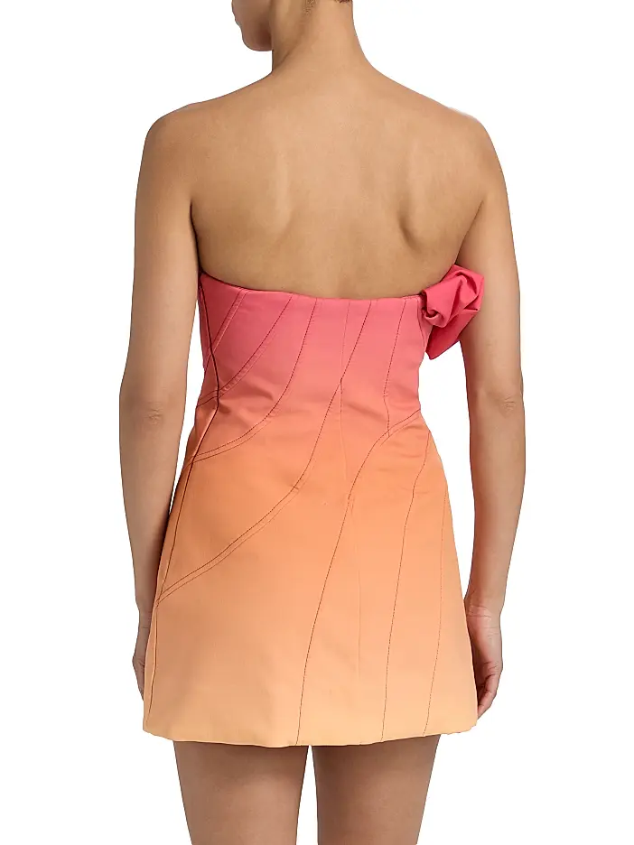 Acler Catterick Mini Dress in Tropical Breeze