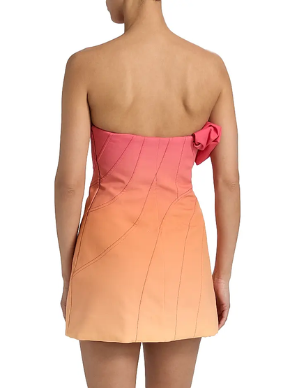 Acler Catterick Mini Dress in Tropical Breeze