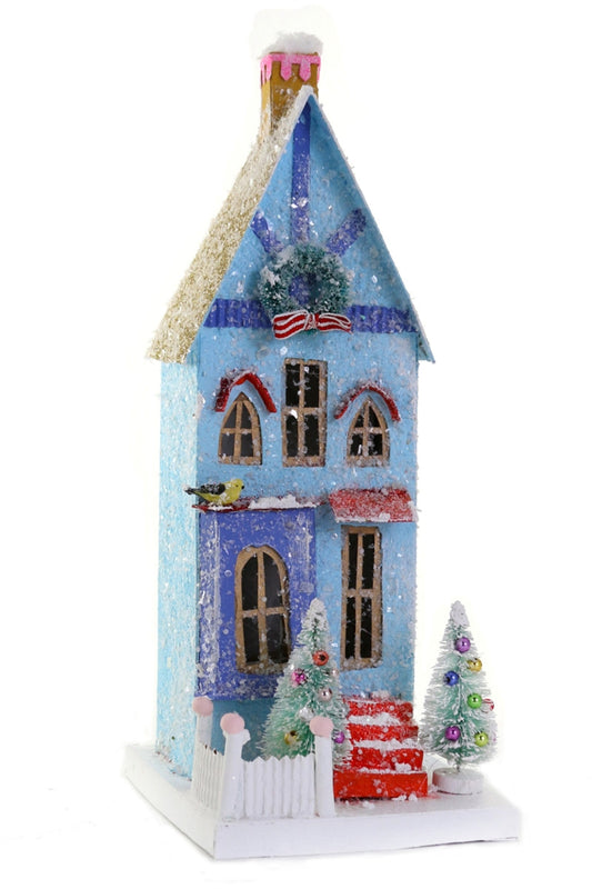 Blue Townhouse Village
