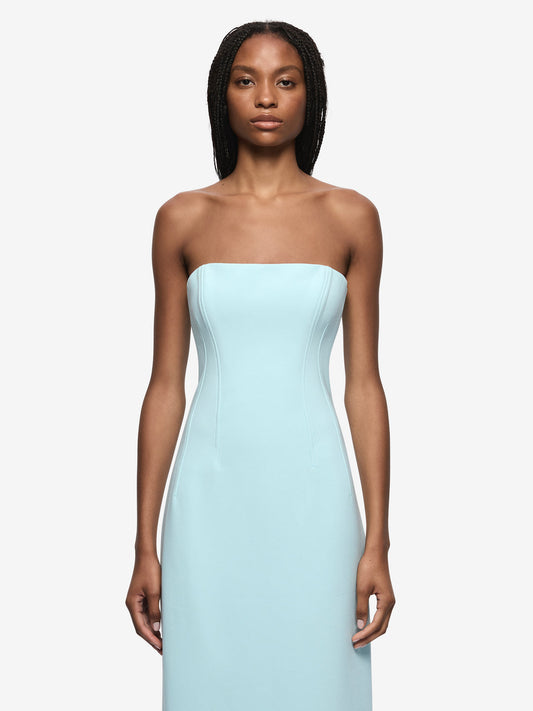 BEC + BRIDGE Romee Strapless Maxi Dress