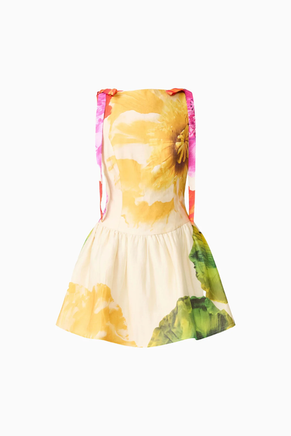 ELLIATT Lilia A-Line Floral Mini Dress