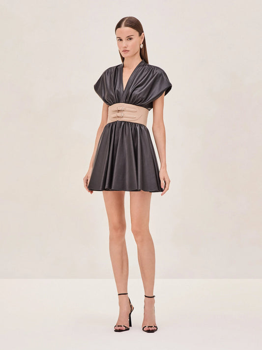 Alexis Berlin Dress