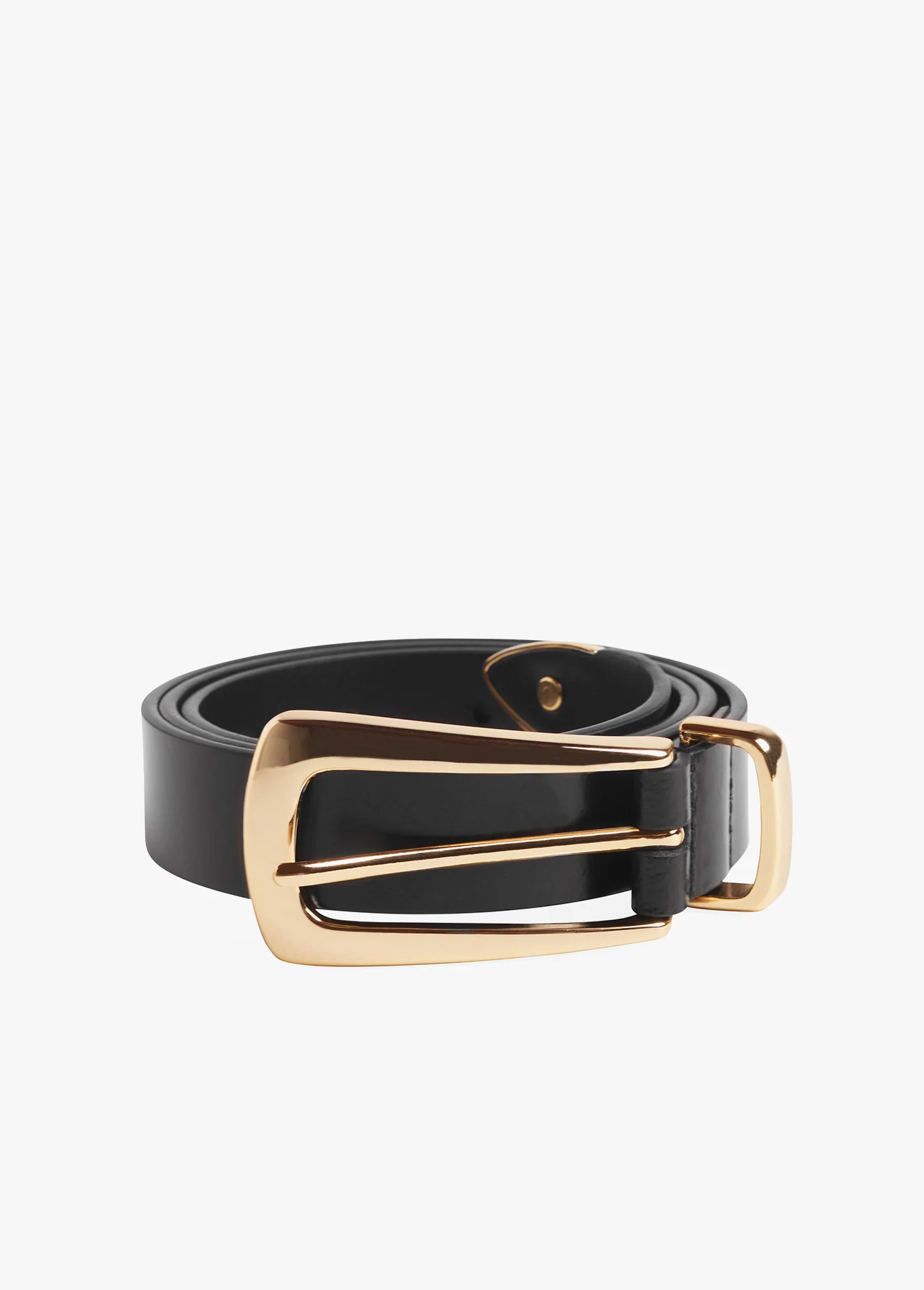 Favorite Daughter THE STATEMENT BELT