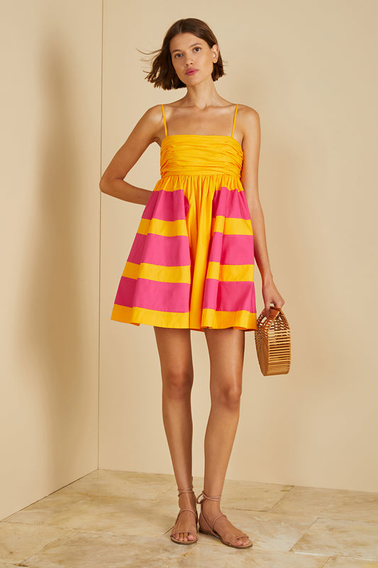 Amur Aslin Colorblock Dress