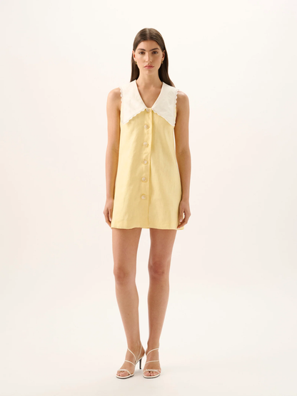 Roame Valentina Mini Dress