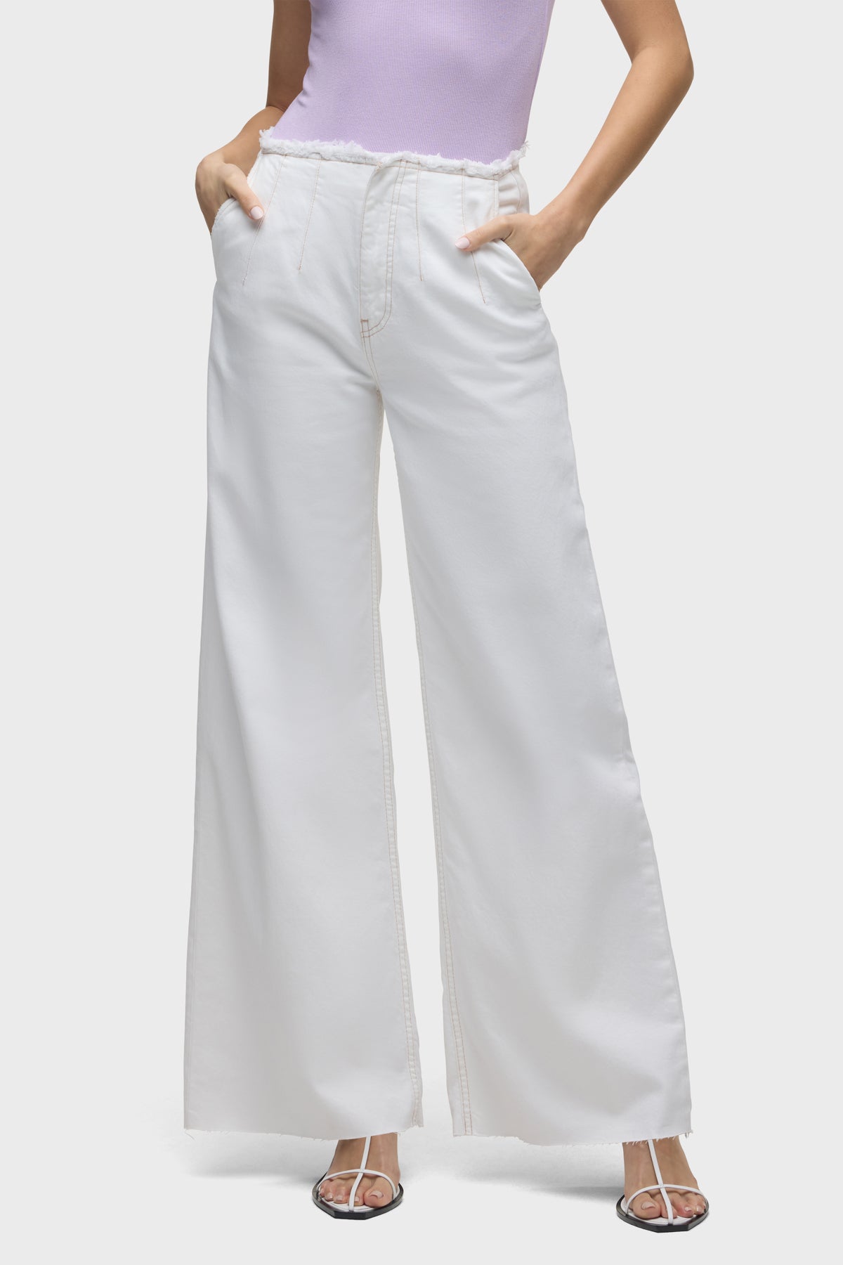 Hudson James High-Rise Darted Wide Leg Jean
