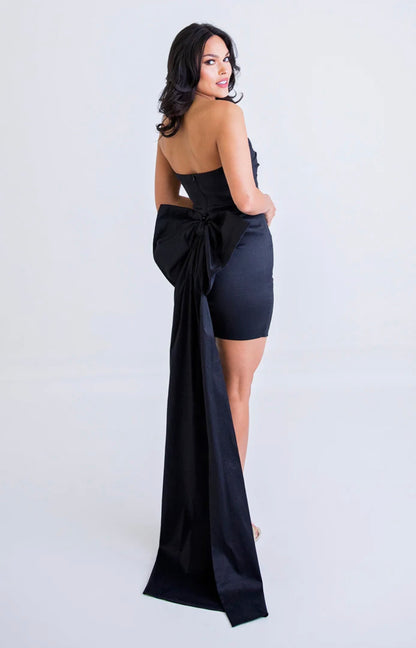 Taffeta Bow Back Bustier Dress