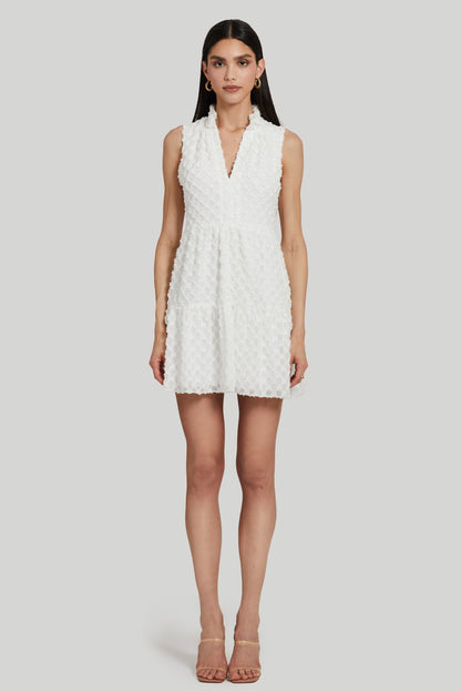 Amanda Uprichard Connolly Dress in Cirrus
